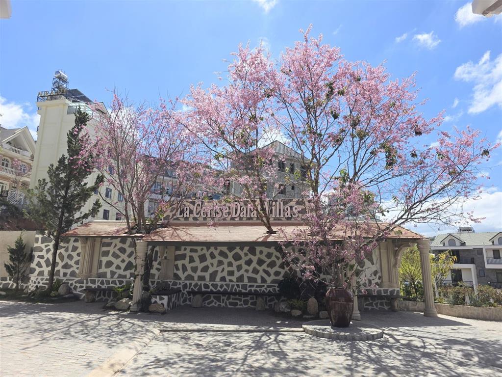 Chính chủ đầu tư mở bán khu biệt thự đà lạt phong cách pháp, với tên gọi "la cerise dalat villas