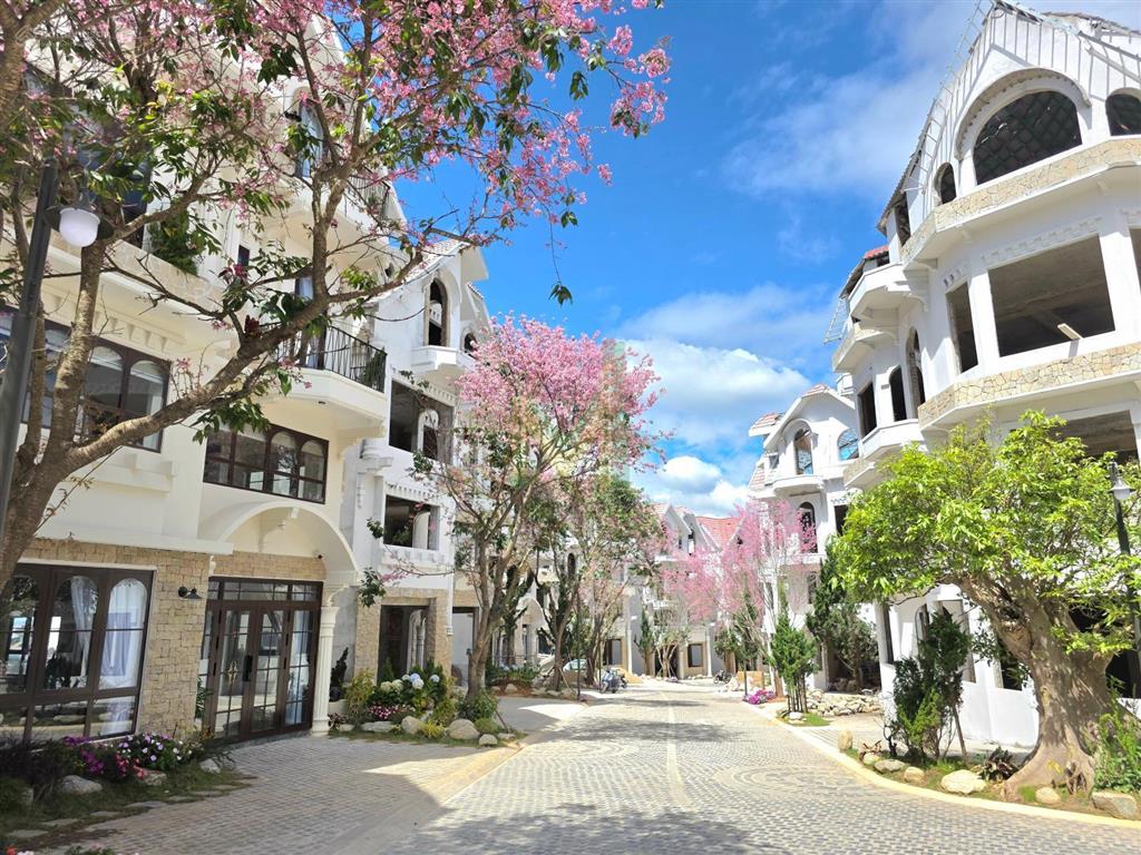 Chính chủ đầu tư mở bán khu biệt thự đà lạt phong cách pháp, với tên gọi "la cerise dalat villas