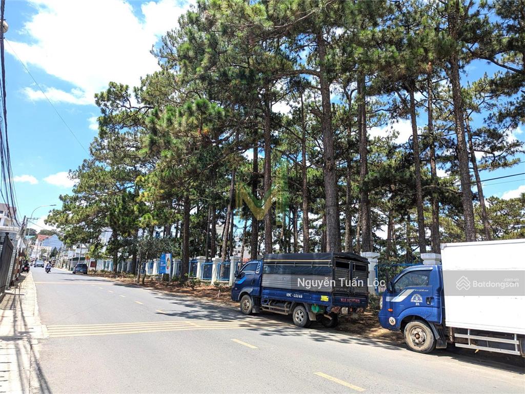 Bán gấp lô đất đẹp 780m2 view thông, hai mặt tiền đường chính nam hồ, đà lạt, giá chỉ 25 tỷ
