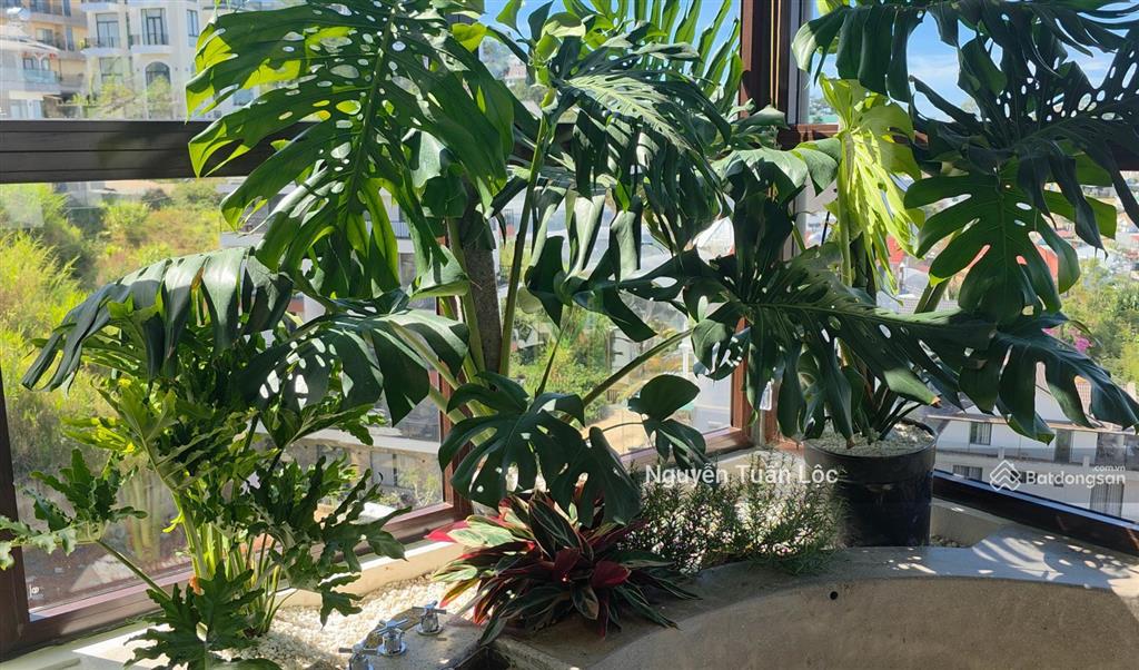 Chính chủ bán biệt thự đà lạt phong cách pháp, xen lẫn nét hiện đại tại khu "la cerise dalat villas