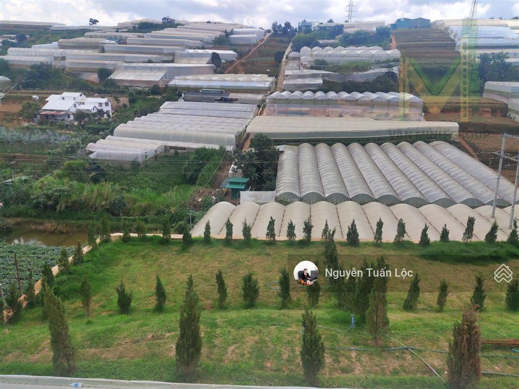 Bán gấp lô đất 342m2 view đẹp đà lạt, mặt tiền đường nhựa, giá chỉ 8.9 tỷ rẻ nhất thị trường.