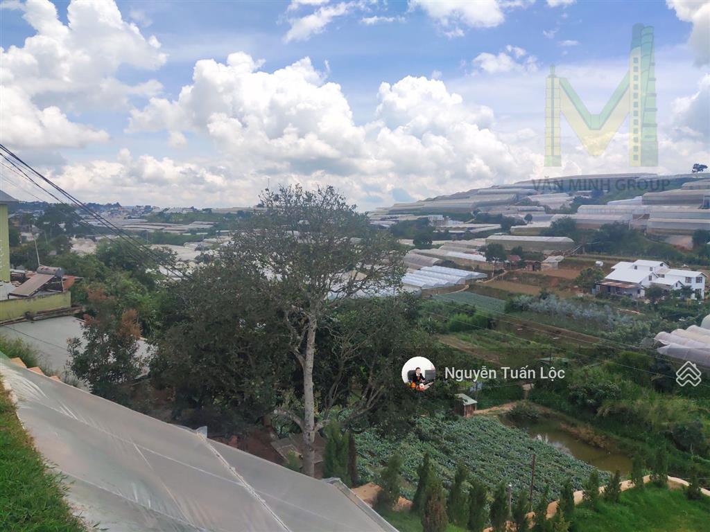Bán gấp lô đất 342m2 view đẹp đà lạt, mặt tiền đường nhựa, giá chỉ 8.9 tỷ rẻ nhất thị trường.