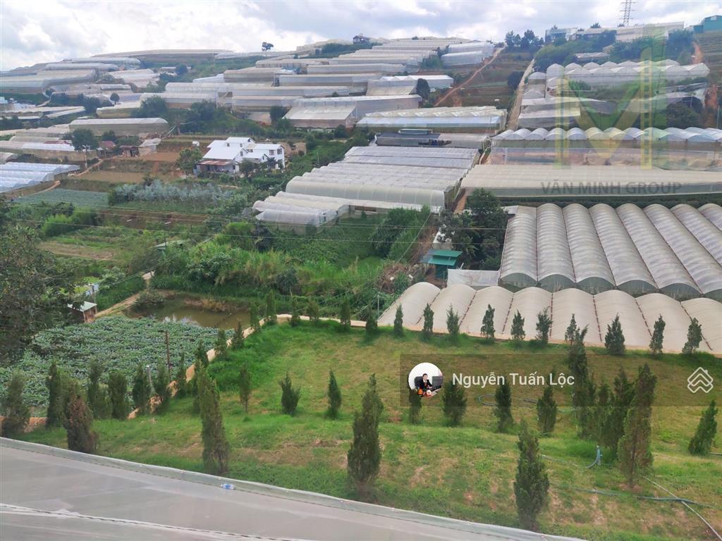 Bán gấp lô đất 342m2 view đẹp đà lạt, mặt tiền đường nhựa, giá chỉ 8.9 tỷ rẻ nhất thị trường.