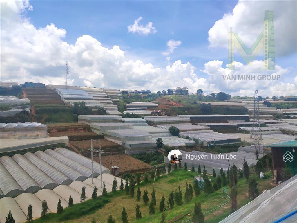 Bán gấp lô đất 342m2 view đẹp đà lạt, mặt tiền đường nhựa, giá chỉ 8.9 tỷ rẻ nhất thị trường.