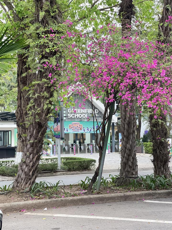 Siêu phẩm phố trúc ecopark 2 mặt tiền | full gỗ thịt | đường 35m | hàng hiếm giá chỉ 27 tỷ