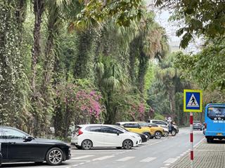 Siêu phẩm nhà phố thương mại phố trúc ecopark, 2 mặt tiền, full nội thất gỗ cao cấp, mặt đường 35m