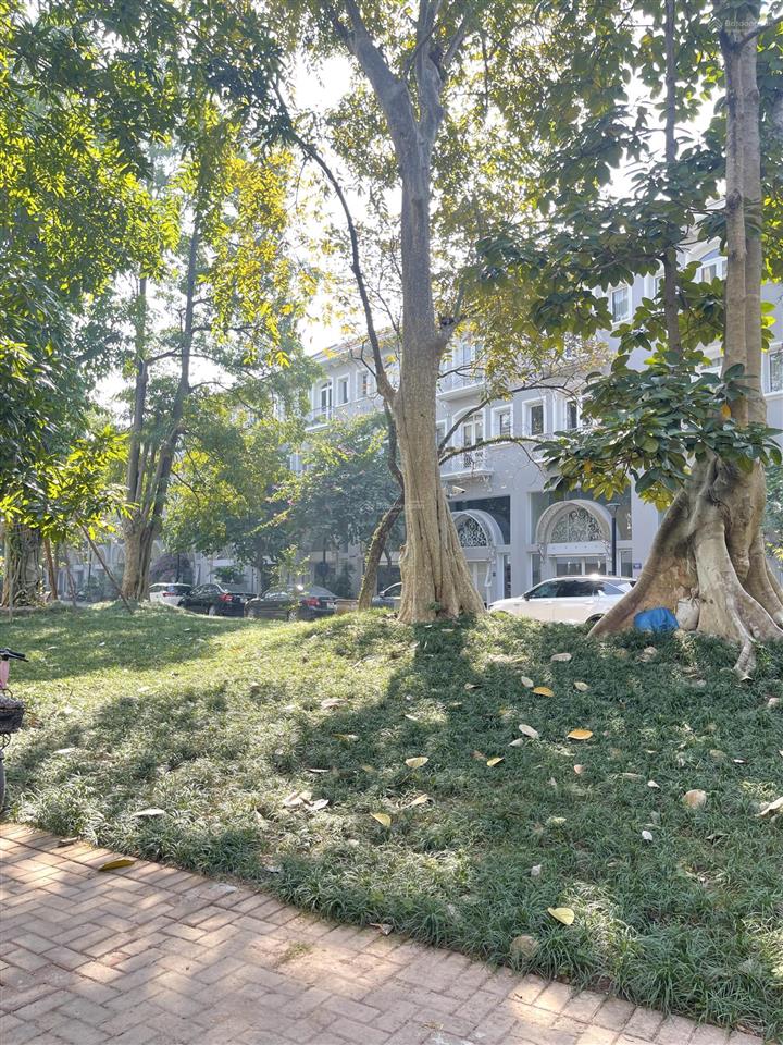 Nhà phố thương mại phố trúc ecopark 2 mặt tiền, 110m2, vị trí đắc địa, sẵn sổ đỏ, 20.3 tỷ bp