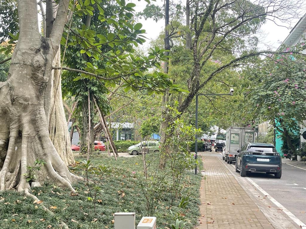 Nhà phố thương mại phố trúc ecopark 2 mặt tiền, 110m2, vị trí đắc địa, sẵn sổ đỏ, 20.3 tỷ bp