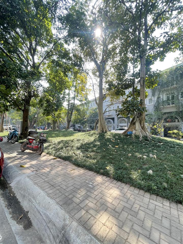 Nhà phố thương mại phố trúc ecopark 2 mặt tiền, 110m2, vị trí đắc địa, sẵn sổ đỏ, 20.3 tỷ bp
