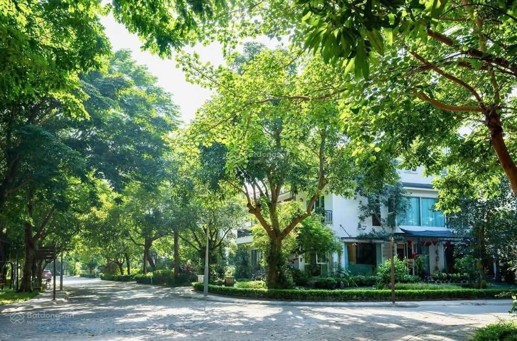 Biệt thự đơn lập hơn 400m2 | hàng hiếm trung tâm ecopark, giá 210tr/m2