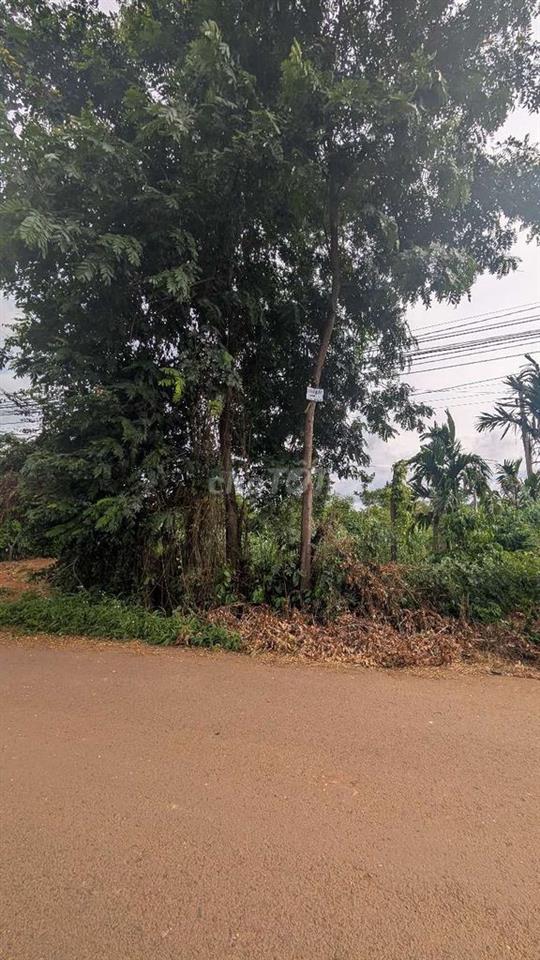 Đất mặt tiền(14.5 x 82m)
