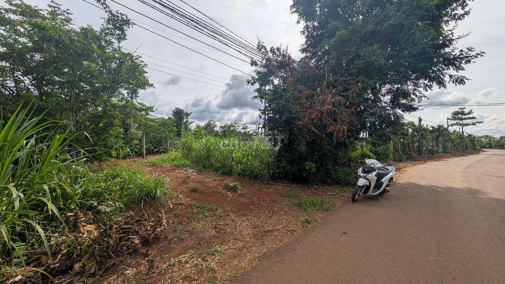 Đất mặt tiền(14.5 x 82m)