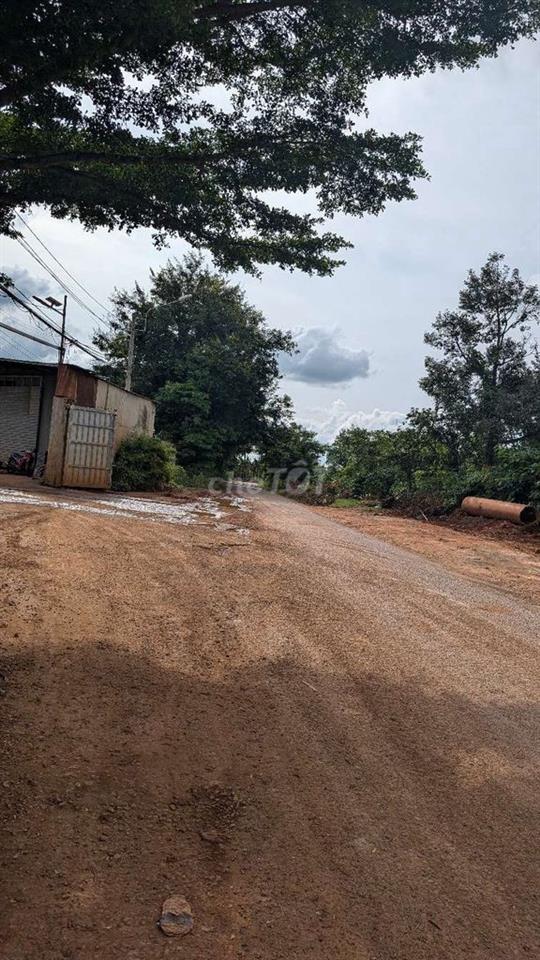 Đất mặt tiền(14.5 x 82m)