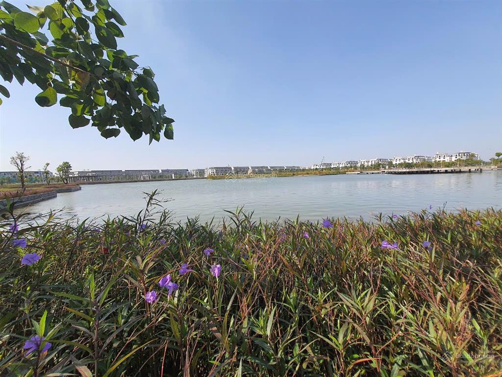 Giá cực tốt, chỉ 27 tỷ căn biệt thự đơn lập 250m2 khu thảo viên dự án hinode royal park. 0966 761 ***