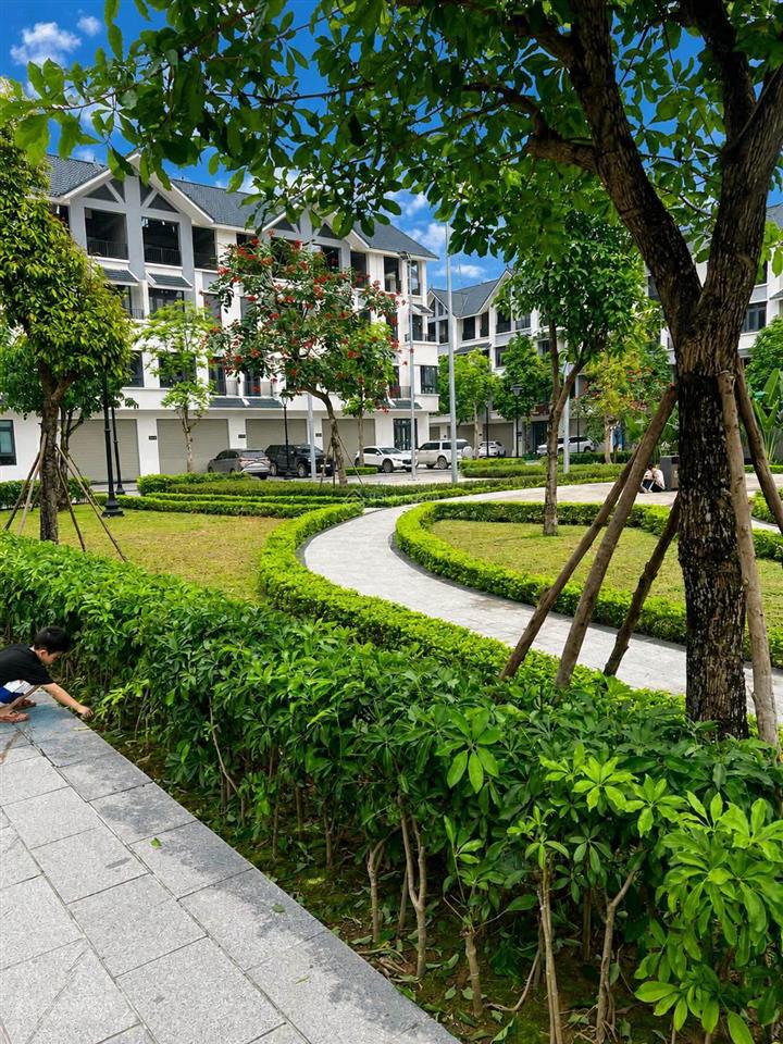Chỉ 14,4 tỷ căn liền kề 95m2 view vườn hoa khu đông dương dự án hinode royal park.  0966 761 ***