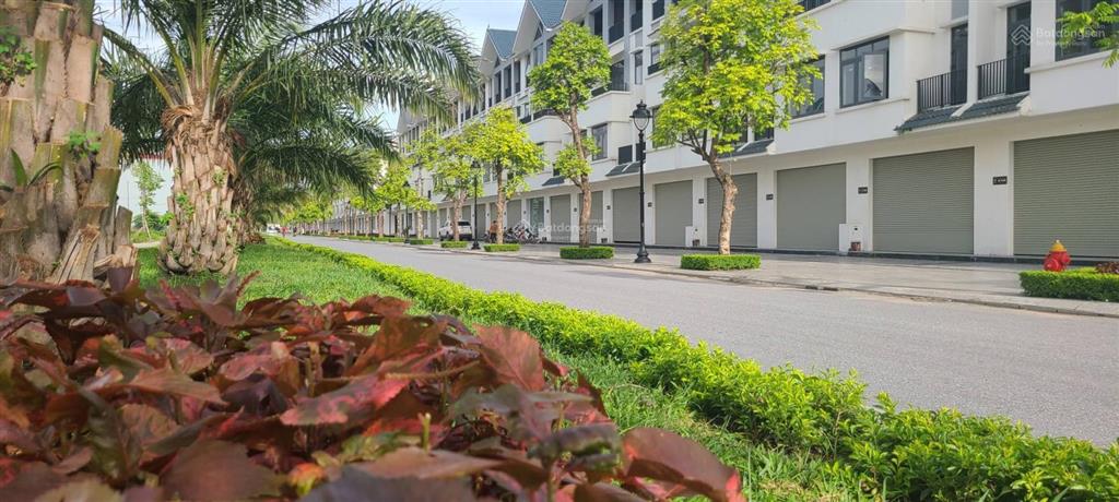 Chỉ 15 tỷ căn liền kề 100m2 trục đường 30 khu đông dương dự án hinode royal park.  0966 761 ***