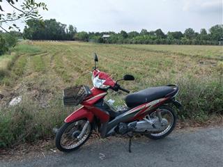 Bán 6035m2 đất lúa đường bùi thanh khiết, tân túc, bình chánh, tphcm