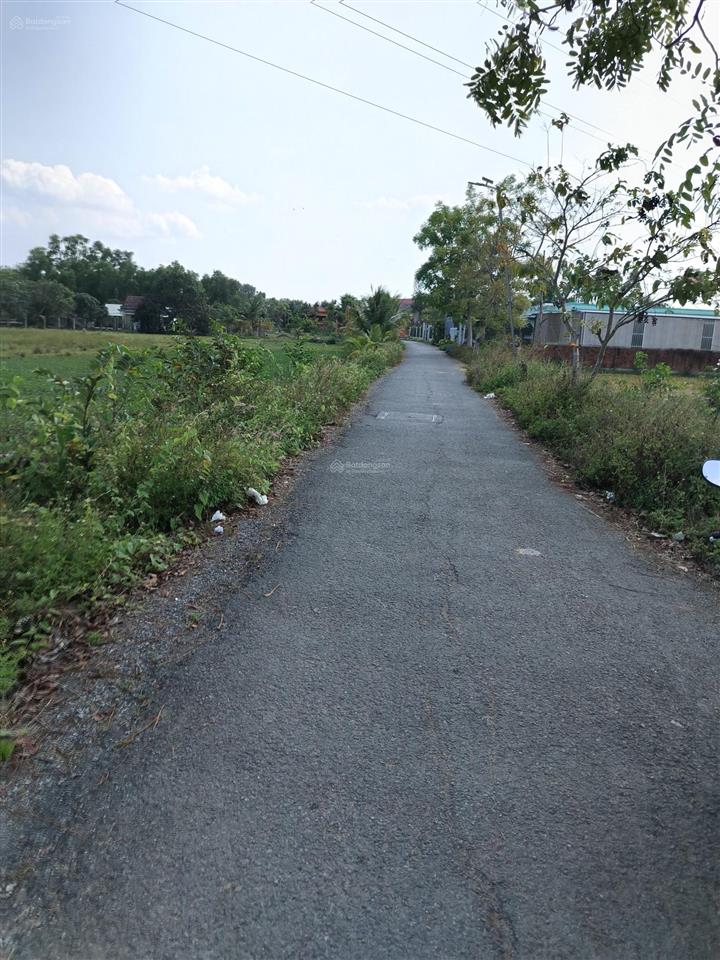 Bán 6035m2 đất lúa đường bùi thanh khiết, tân túc, bình chánh, tphcm