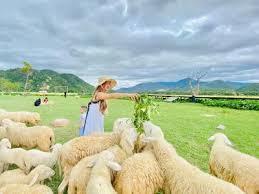 Bán đất tại kdl đồi cát nam cương, tp. phan rang, giá 350 nghìn / m2, diện tích 2000 m2 hàng hot