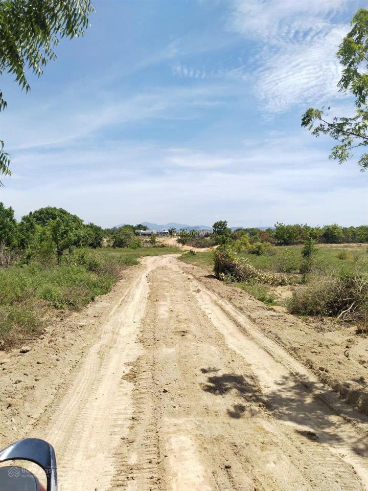 Bán đất tại kdl đồi cát nam cương, tp. phan rang, giá 350 nghìn / m2, diện tích 2000 m2 hàng hot