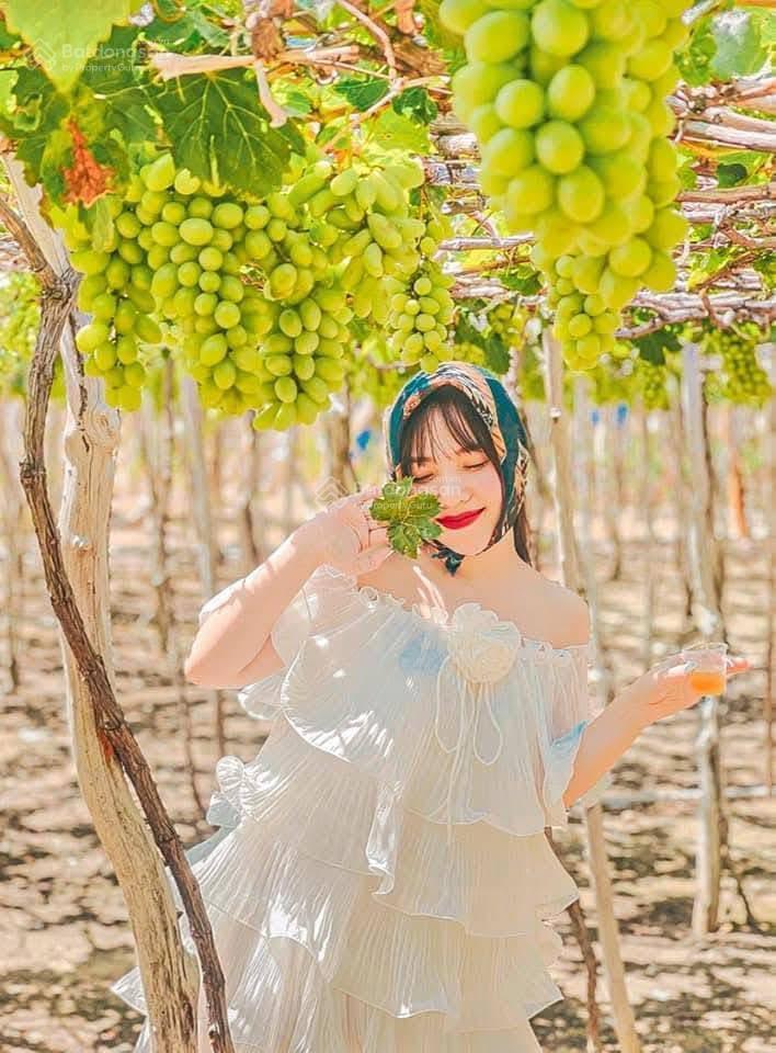 Bán đất tại kdl đồi cát nam cương, tp. phan rang, giá 350 nghìn / m2, diện tích 2000 m2 hàng hot