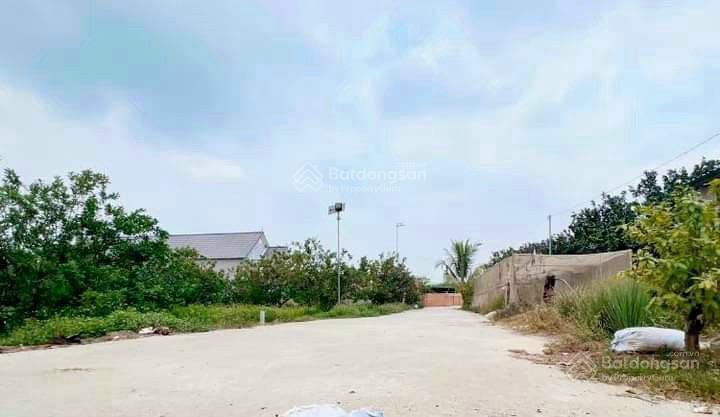 Bán đất mặt tiền đường nhựa lớn xe công chạy giá hơn 5 triệu/m2 tại tân lập bắc tân uyên