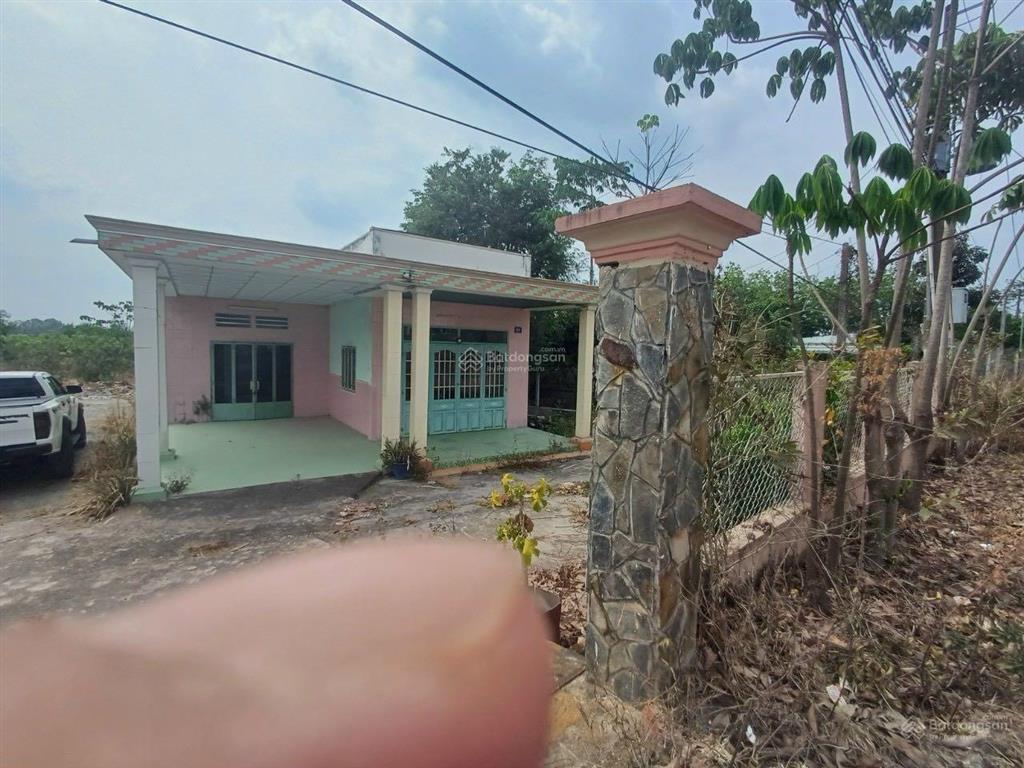 Bán đất mặt tiền đường nhựa lớn xe công chạy giá hơn 5 triệu/m2 tại tân lập bắc tân uyên