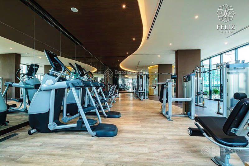Rổ hàng thuê feliz en vista, đa dạng căn 1pn  5pn, duplex, sân vườn, penthouse. giá từ 18 tr/tháng