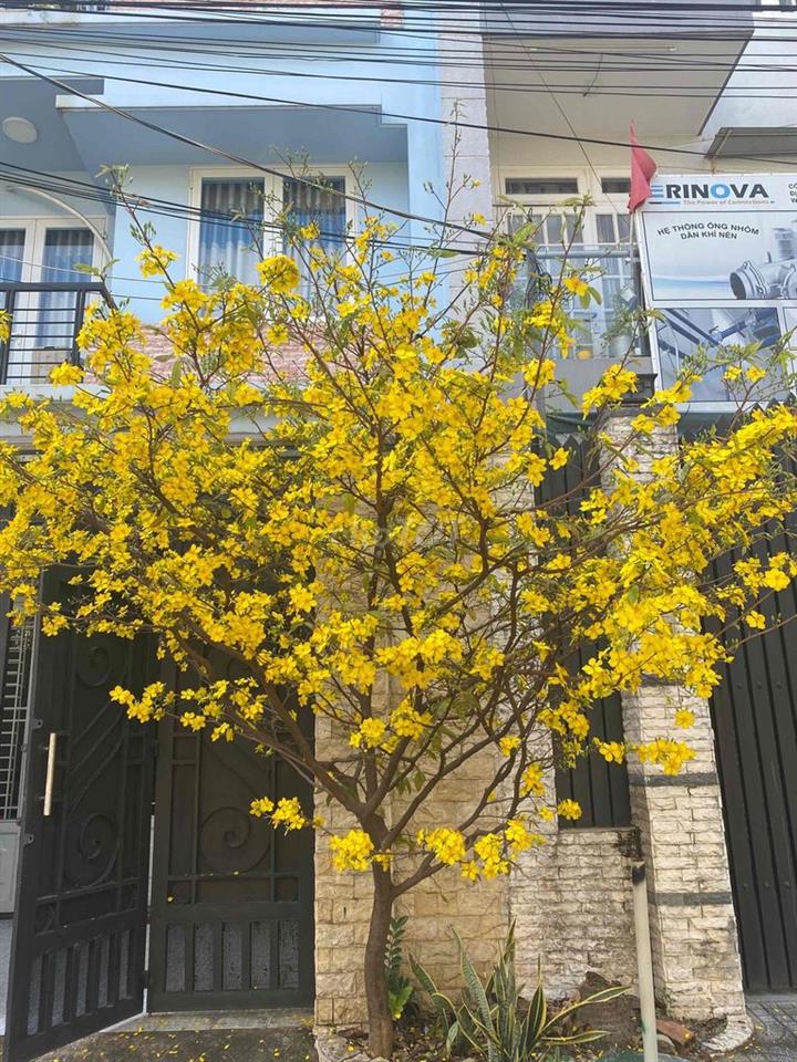 Phòng Đẹp - Giá Tốt