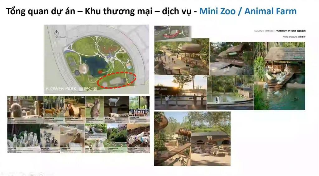 Hồng hạc phú mỹ hưng  vì sao được quan tâm bởi giới đầu tư
