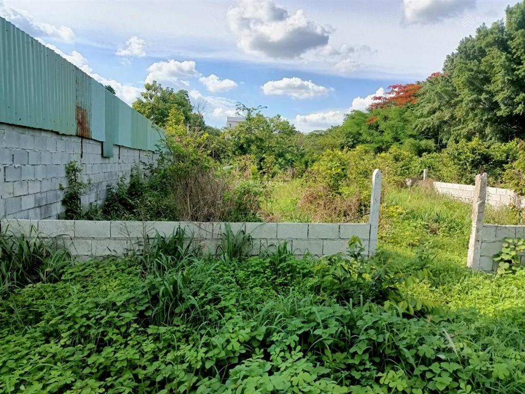Đất củ chi ngang 11,6m khu dân cư hiện hữu, giá tốt