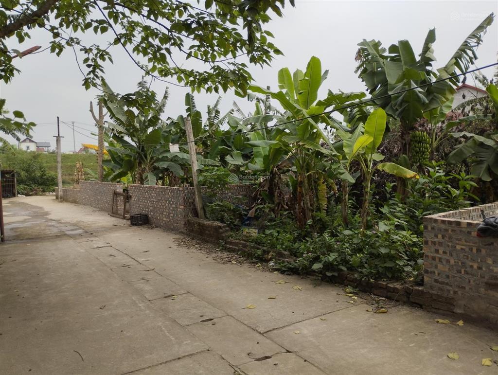 Chính chủ bán mảnh đất mặt đường ô tô đẹp nhất làng chài, võng la, đông anh. giá rẻ nhất thị trường