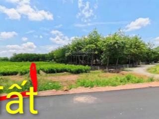 (chính chủ).bán đất mặt tiền 300m2 đường hcm, trừ văn thố, tp.hcm