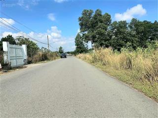 Bán đất mt đg mỹ xuân tóc tiên, qh cho xây 20 tầng xung quanh full tiện ích,dt5x46 giá 1.45ty