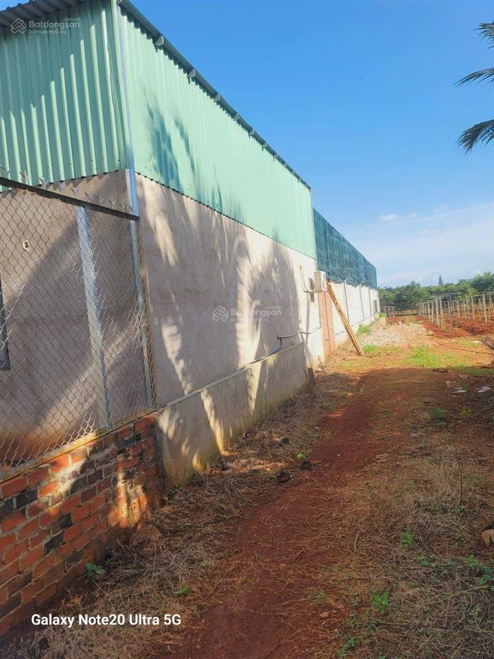 Bán kho xưởng sẵn hắc dịch tóc tiên, sẵn trạm điện 320kw, 2600m2 giá 10.5tỷ, đã chuyển lên tmdv