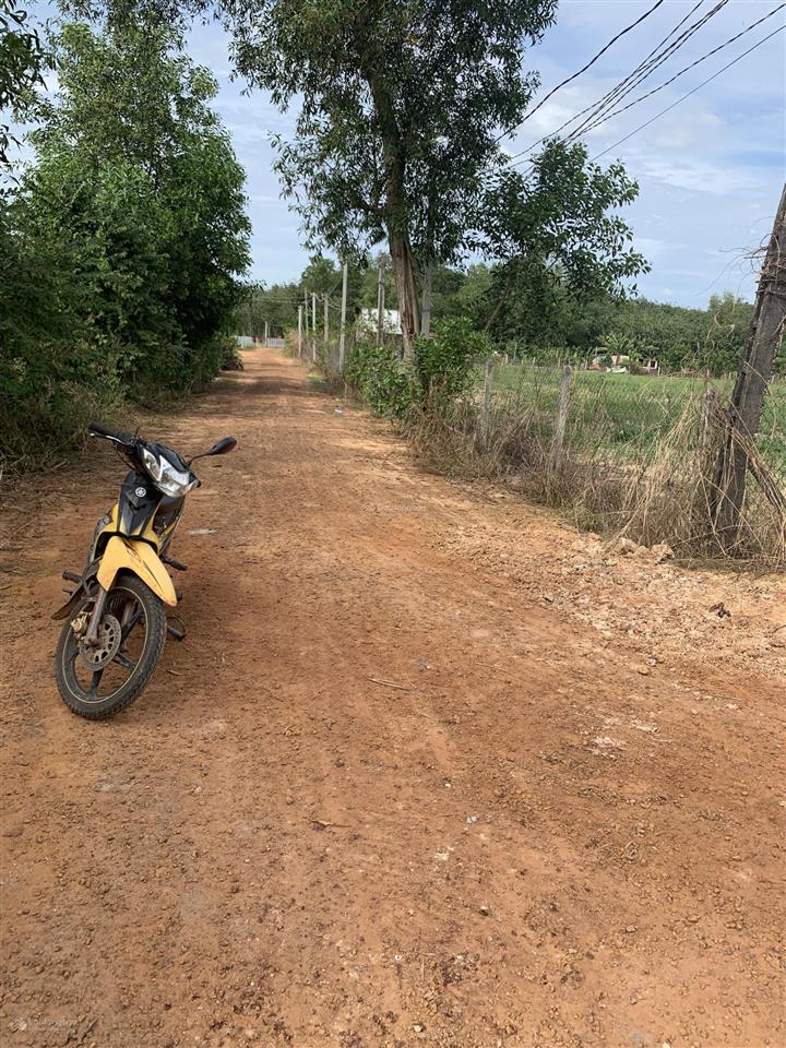 Bán đất 1000m2 cln tại xã long hòa, huyện dầu tiếng, tỉnh bình dương.