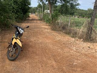 Bán đất 1000m2 cln tại xã long hòa, huyện dầu tiếng, tỉnh bình dương.