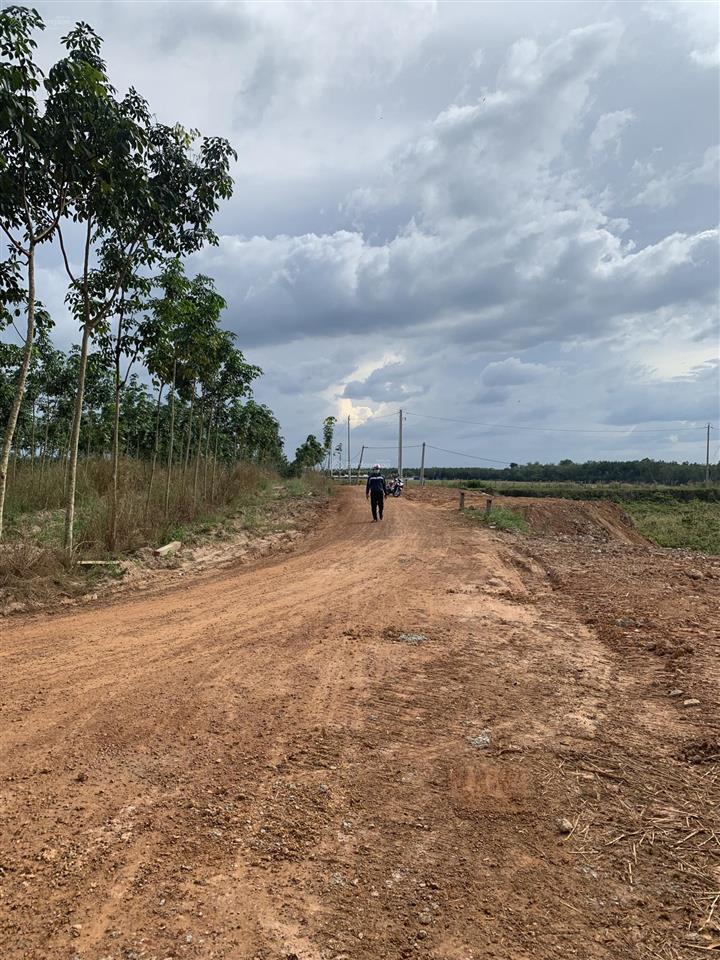 Bán đất 1000m2 cln tại xã long hòa, huyện dầu tiếng, tỉnh bình dương.