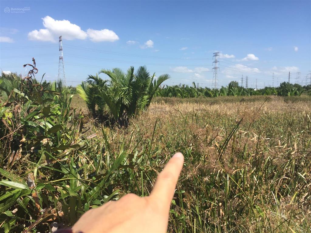 Bán đất tại hà quang vóc, 5,5 tỷ, 1360 m2, pháp lý đầy đủ