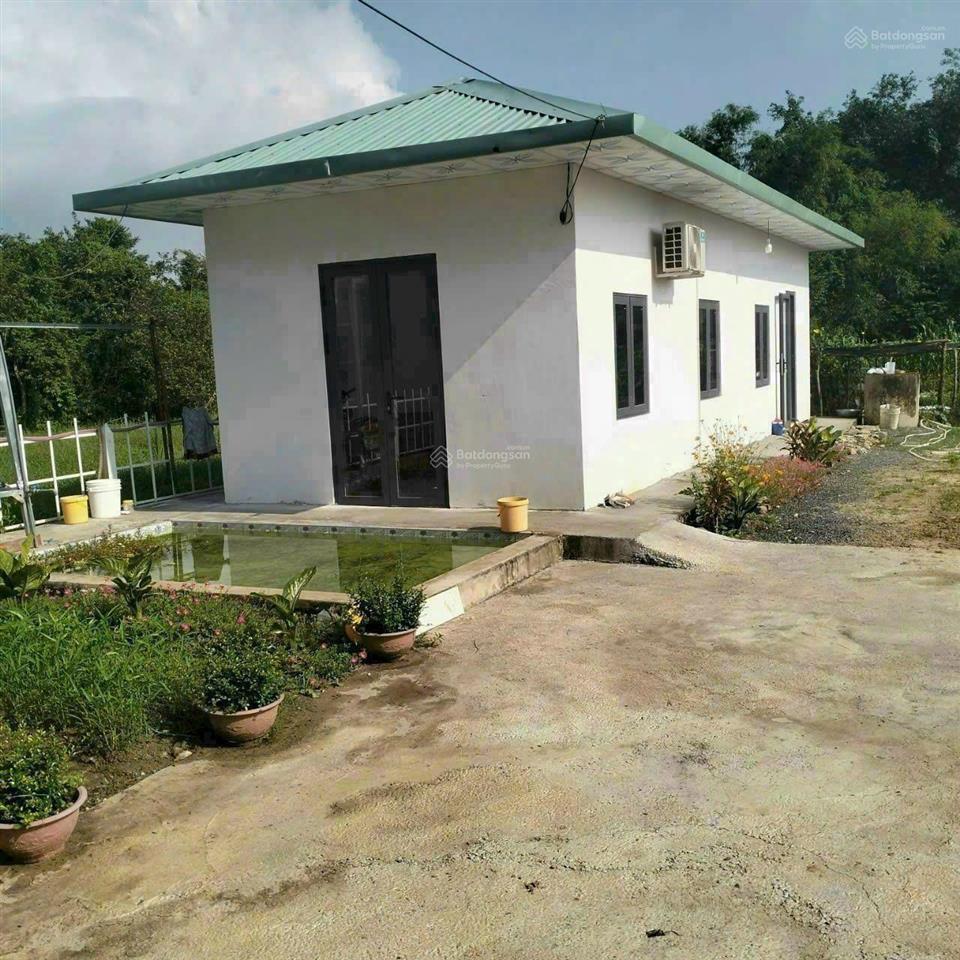 Quá ngộp! bán lô đất tặng nhà đẹp mt đường trải đá xe tải, dt 1.036m2, có 955m thổ, thái mỹ.