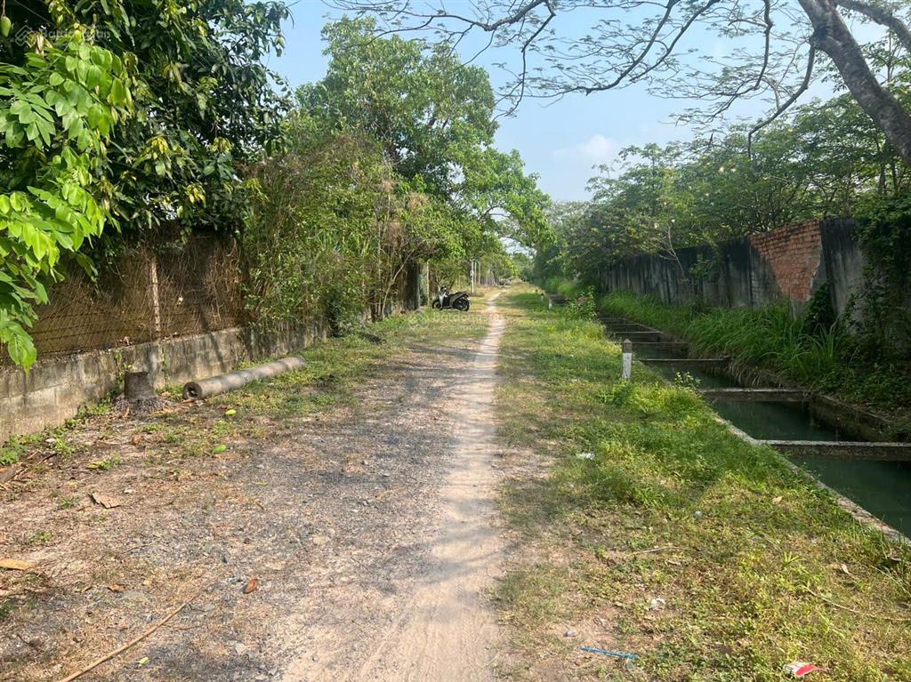 Ngộp hạ giá! bán lô đất tặng căn nhà mt đường số 518 trải đá xe tải, dt 2.703m2, có 300m2 thổ cư