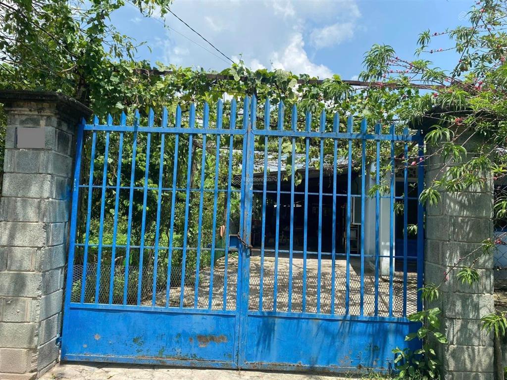 Ngộp hạ giá! bán lô đất tặng căn nhà mt đường số 518 trải đá xe tải, dt 2.703m2, có 300m2 thổ cư