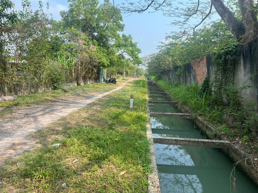 Ngộp hạ giá! bán lô đất tặng căn nhà mt đường số 518 trải đá xe tải, dt 2.703m2, có 300m2 thổ cư