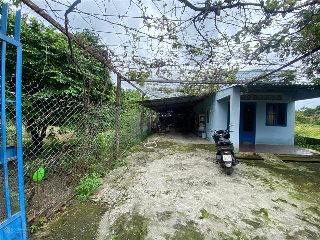 Ngộp hạ giá! bán lô đất tặng căn nhà mt đường số 518 trải đá xe tải, dt 2.703m2, có 300m2 thổ cư