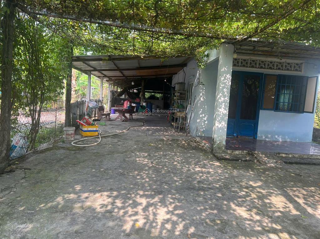 Ngộp hạ giá! bán lô đất tặng căn nhà mt đường số 518 trải đá xe tải, dt 2.703m2, có 300m2 thổ cư