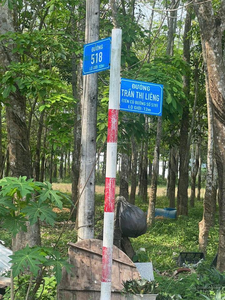 Ngộp hạ giá! bán lô đất tặng căn nhà mt đường số 518 trải đá xe tải, dt 2.703m2, có 300m2 thổ cư