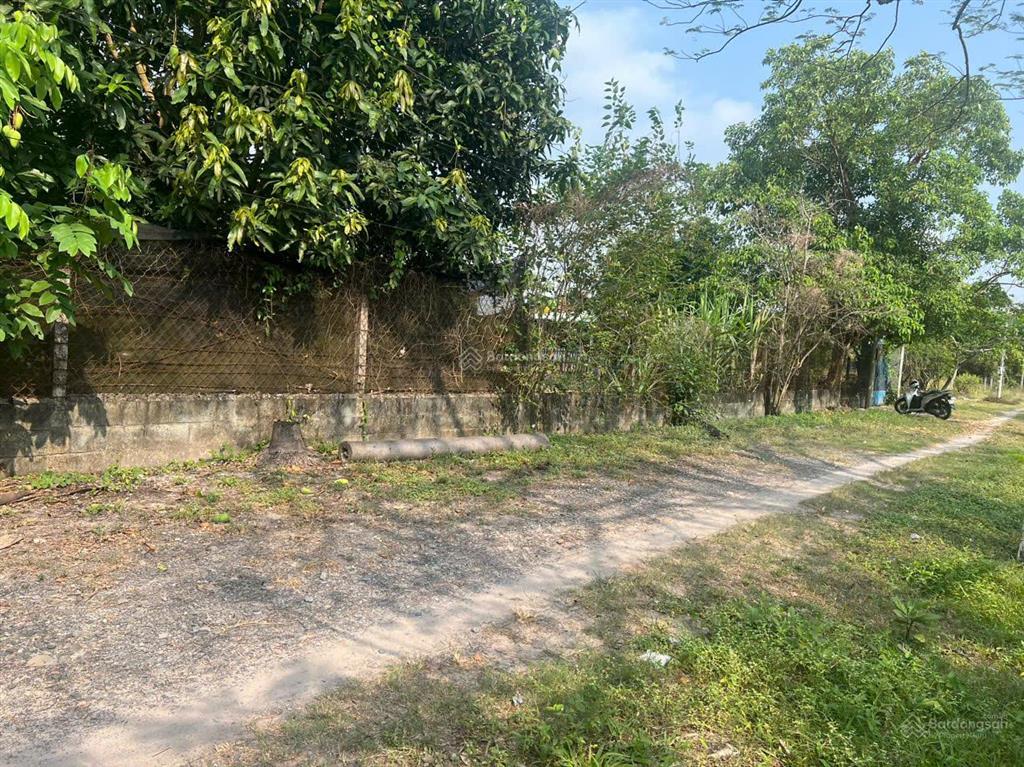 Ngộp hạ giá! bán lô đất tặng căn nhà mt đường số 518 trải đá xe tải, dt 2.703m2, có 300m2 thổ cư