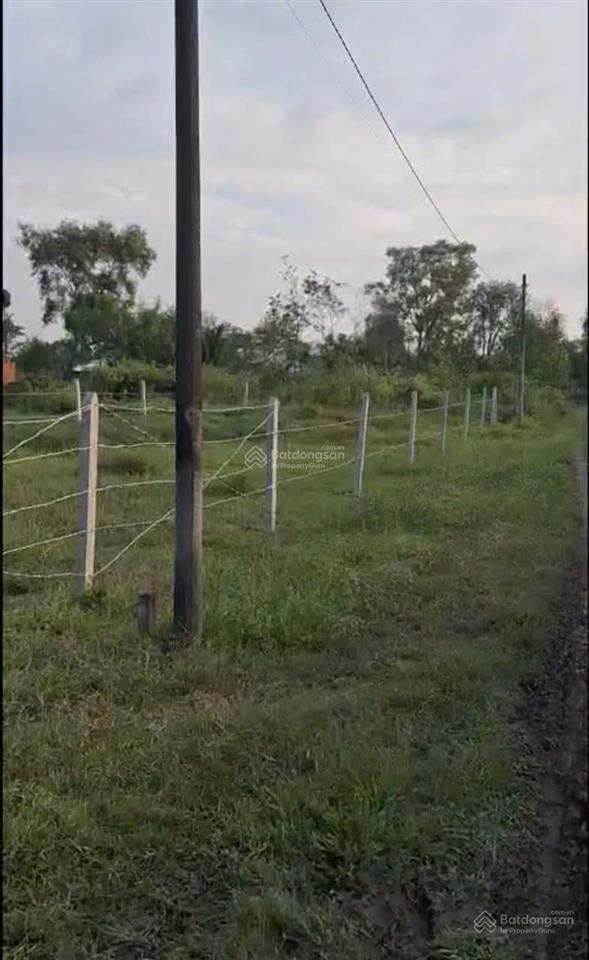 Cần tiền làm ăn  bán gấp lô đất 2 mặt tiền  giá chỉ 999 triệu