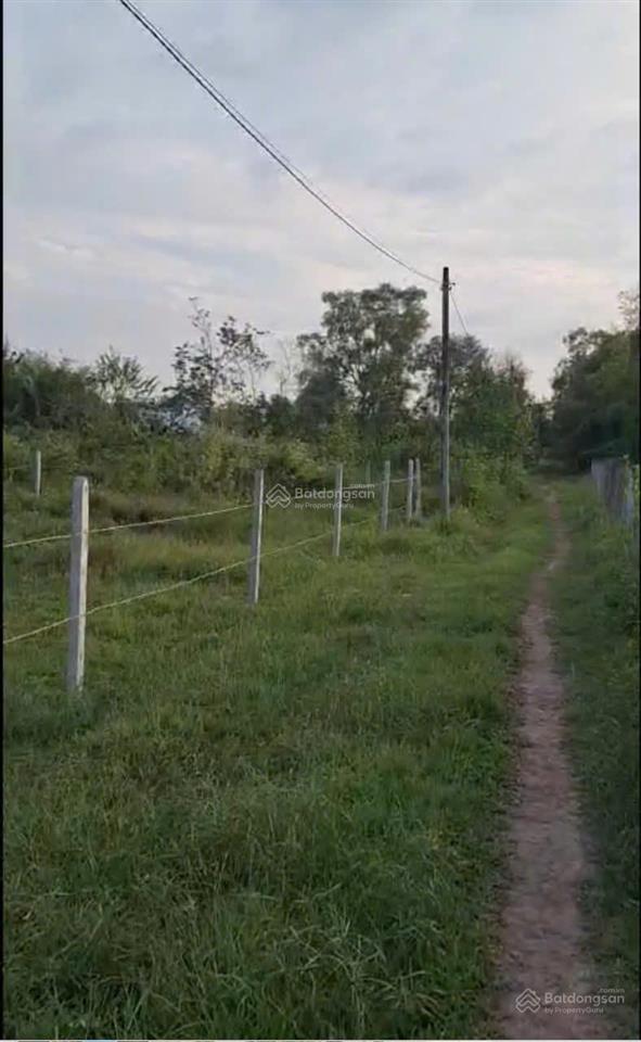 Cần tiền làm ăn  bán gấp lô đất 2 mặt tiền  giá chỉ 999 triệu