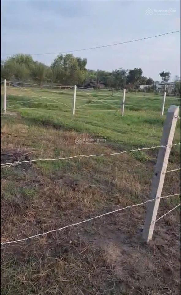 Cần tiền làm ăn  bán gấp lô đất 2 mặt tiền  giá chỉ 999 triệu